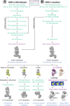 Figure 2—figure supplement 4.