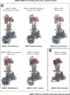 Figure 2—figure supplement 9.