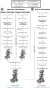 Figure 2—figure supplement 3.