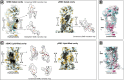 Figure 5—figure supplement 4.