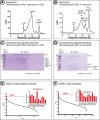 Figure 1—figure supplement 2.