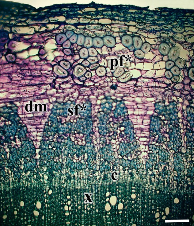 Figure 7.