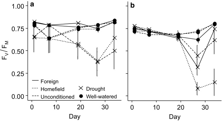 Fig. 6