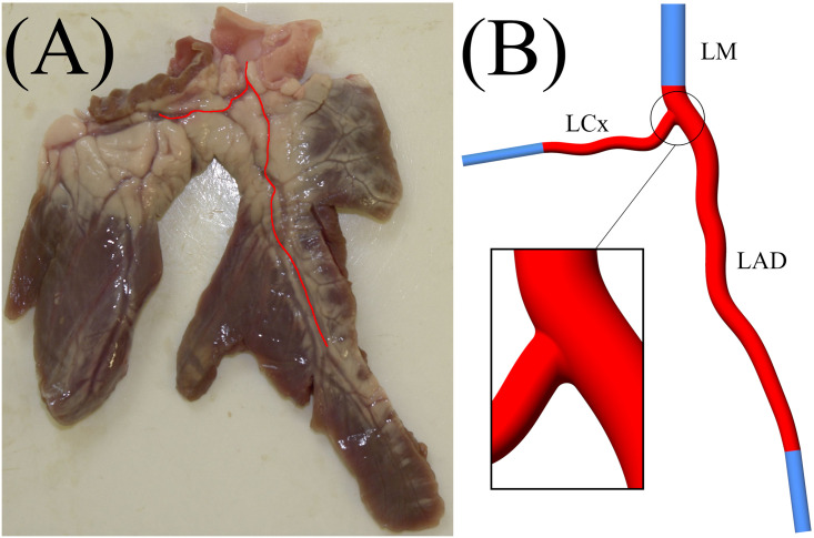 Fig 1