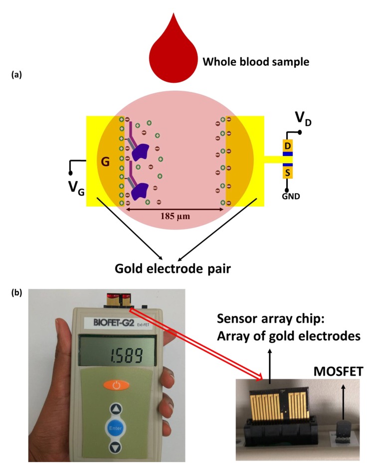 Figure 5