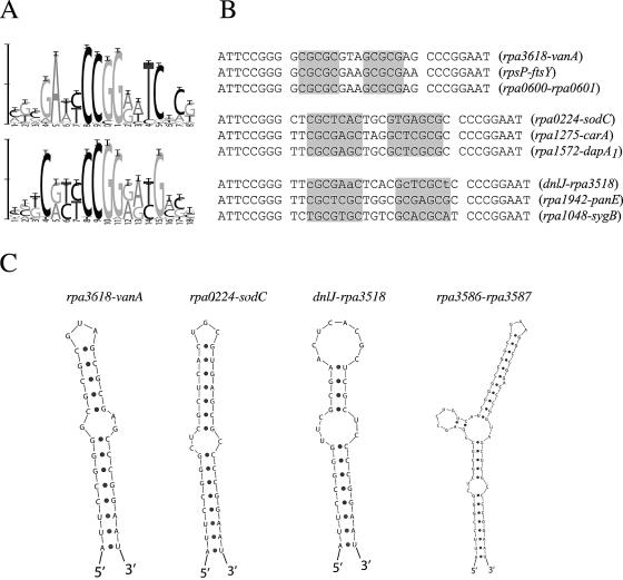 FIG. 4.