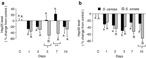 Fig. 7