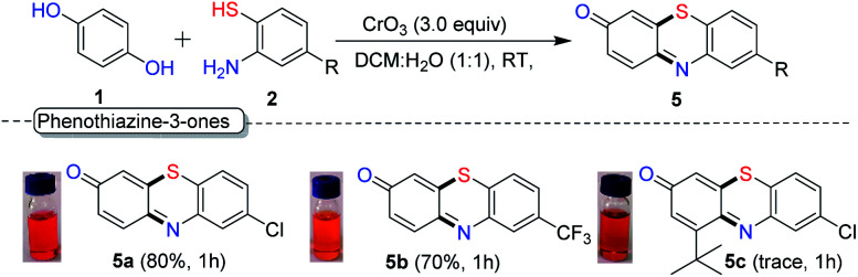 Scheme 5