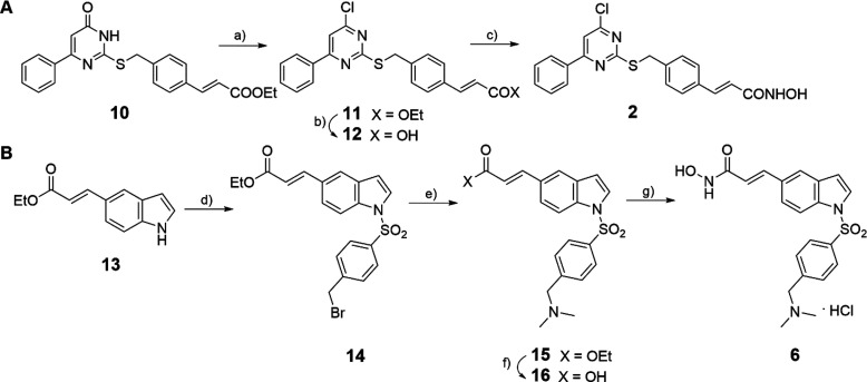 Scheme 1