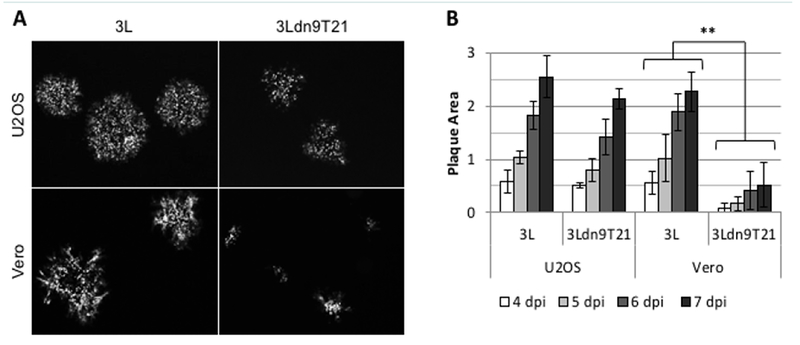 Figure 4: