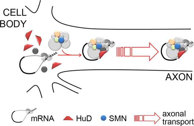 Figure 9.