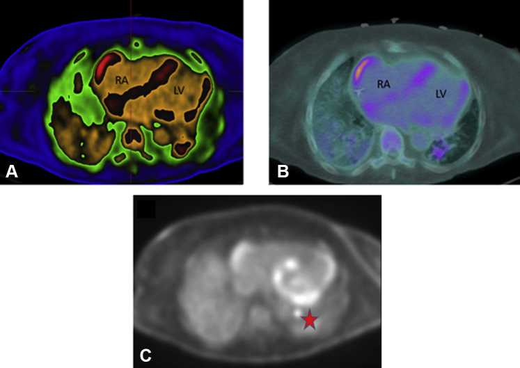 Figure 1