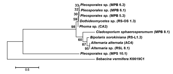 Fig. 4