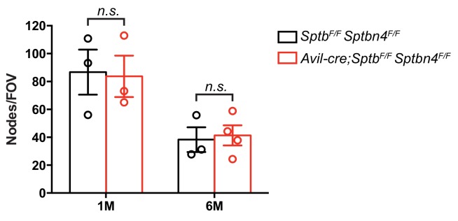 Figure 5—figure supplement 1.