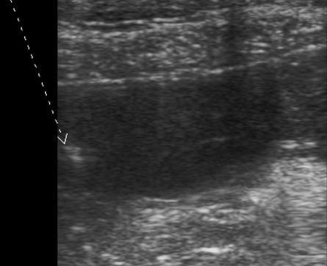 Fig. 6