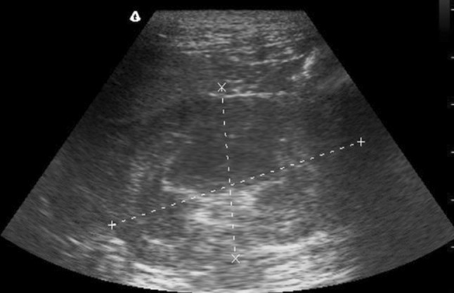 Fig. 5