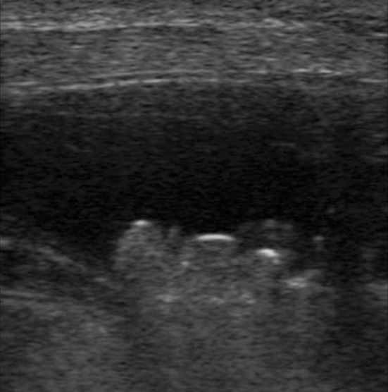 Fig. 3