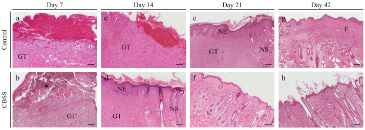 Figure 5