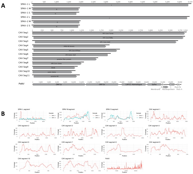 Figure 1—figure supplement 1.