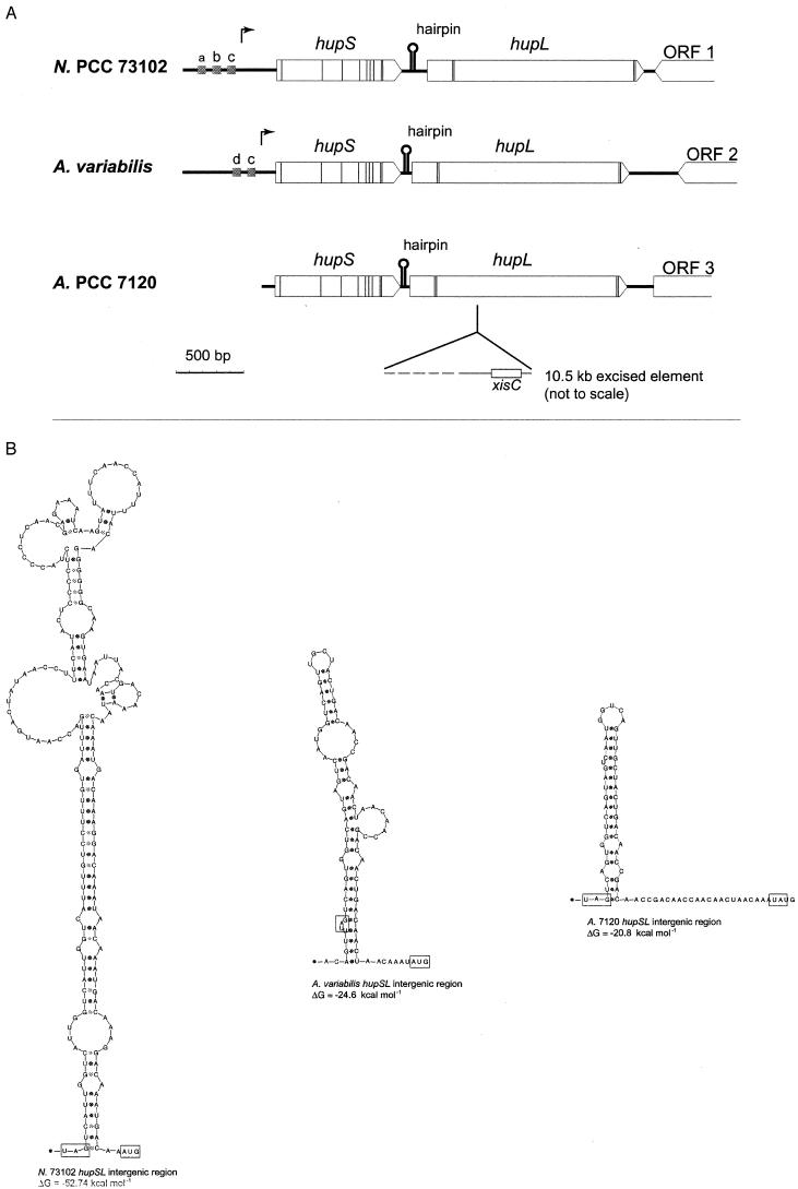 FIG.3.