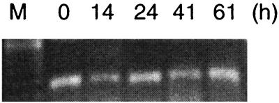 FIG. 6.