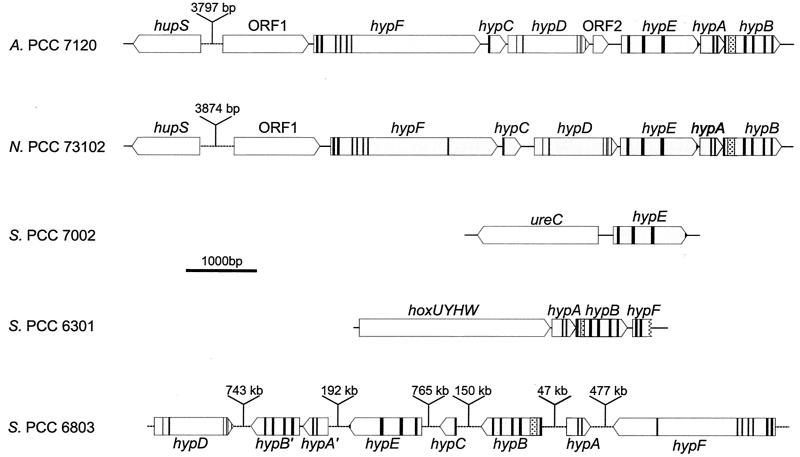 FIG. 7.