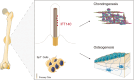 Image, graphical abstract