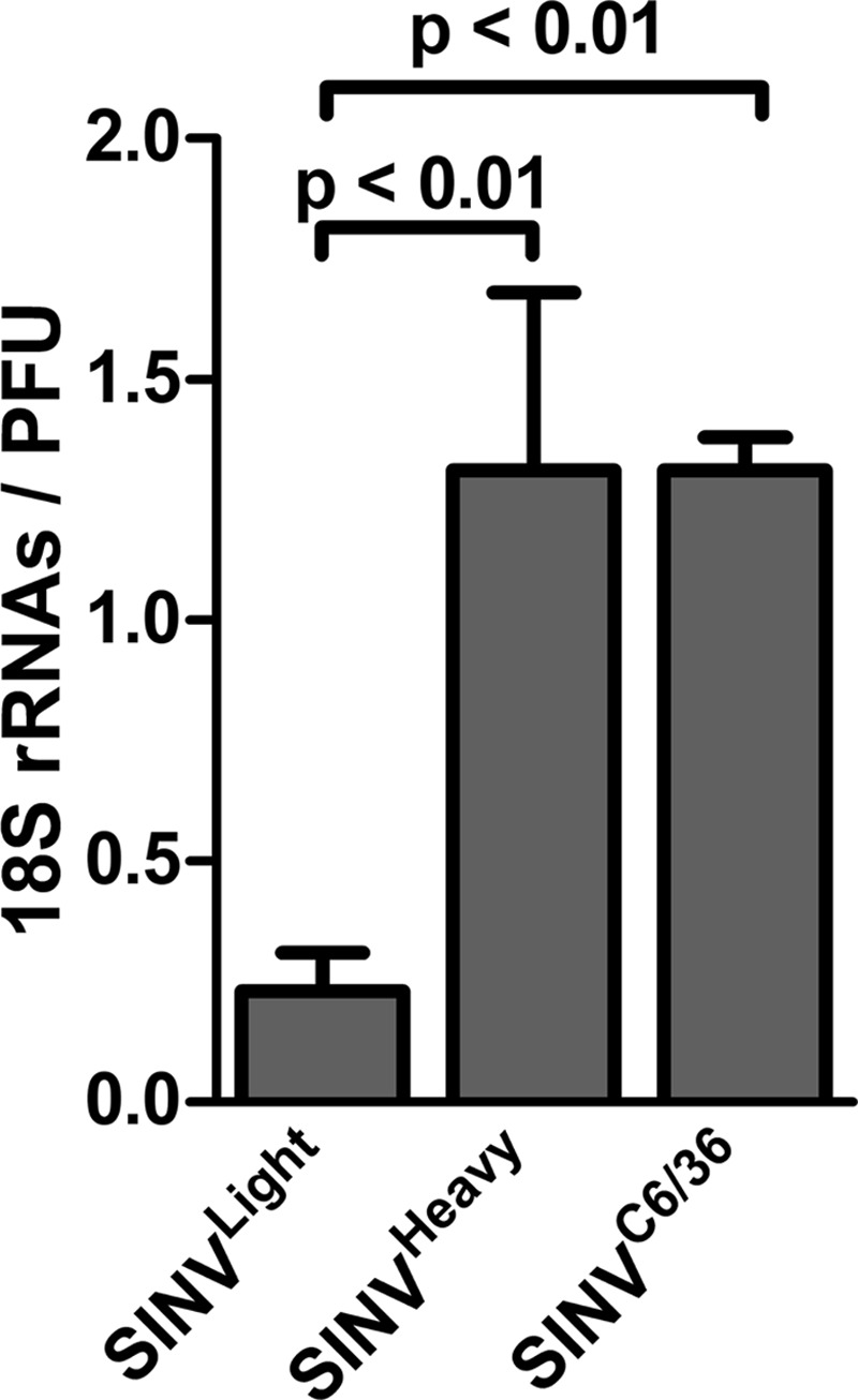 Fig 7