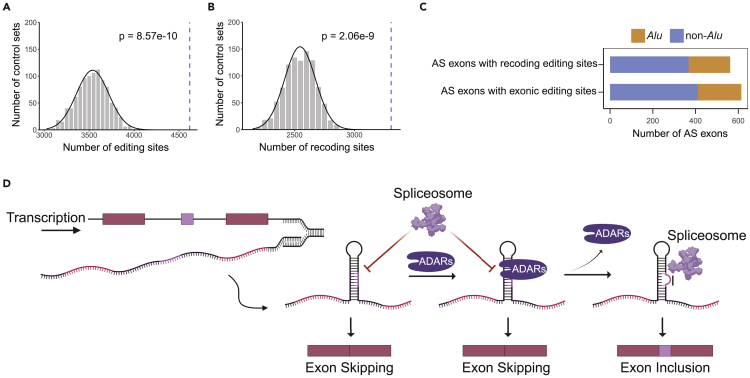 Figure 6