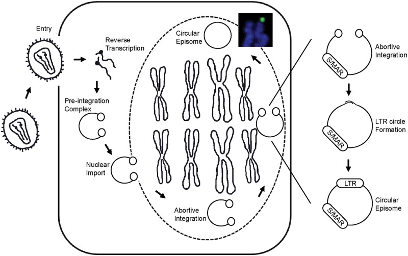 Figure 6.