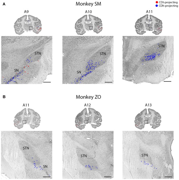 Figure 11