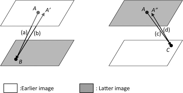 Fig.1.