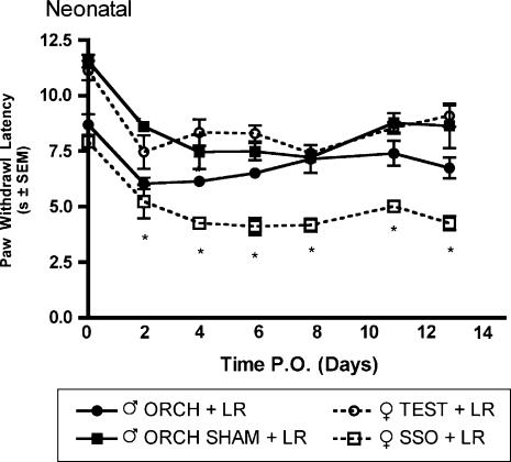 Fig. 10.