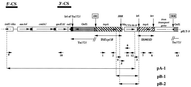 FIG. 1.