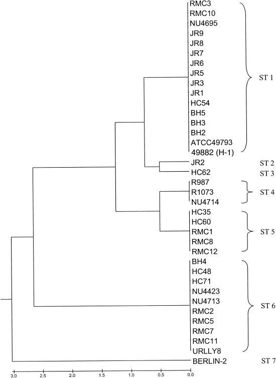 FIG. 1.