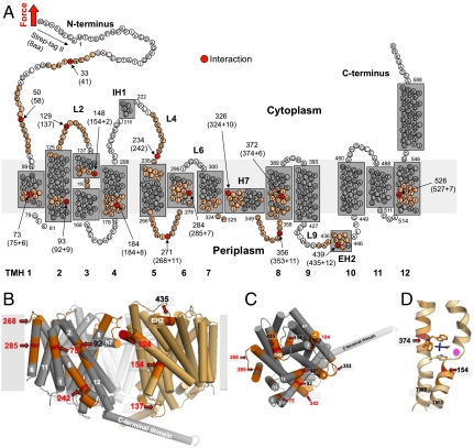 Fig. 2.