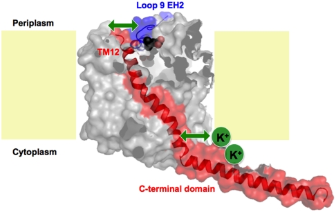 Fig. P1.