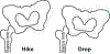 Figure1.
