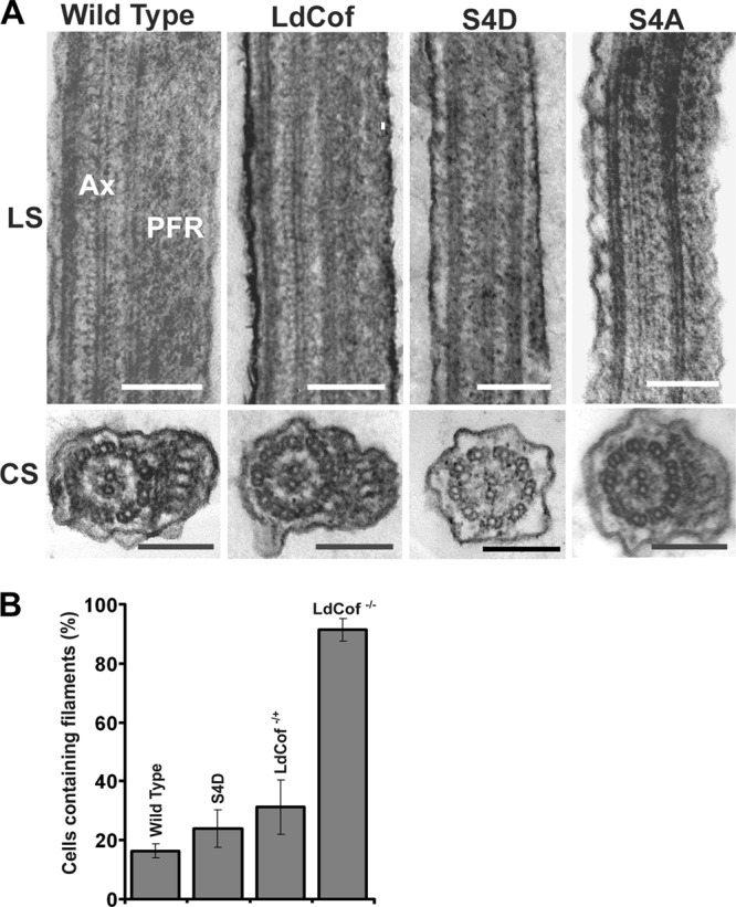 Fig 7