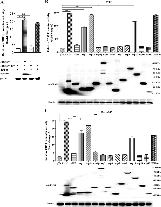 FIG 3