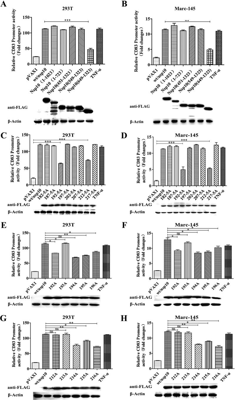 FIG 6