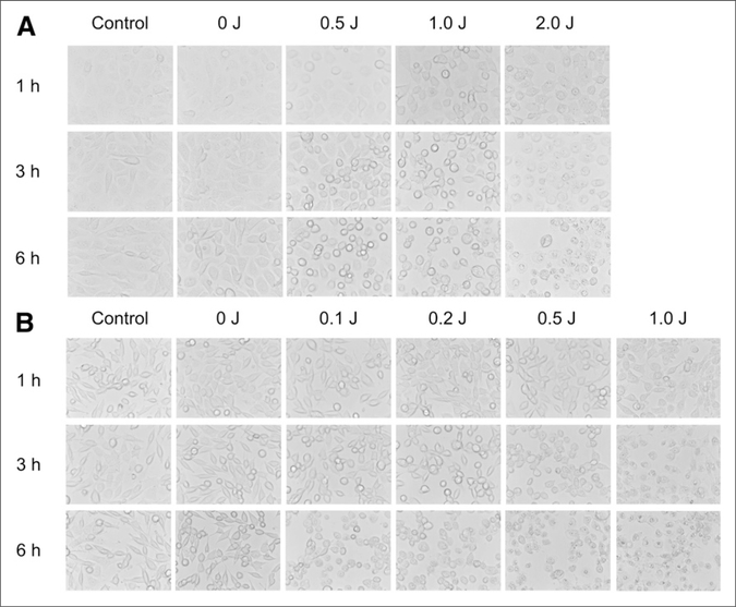 FIGURE 1.