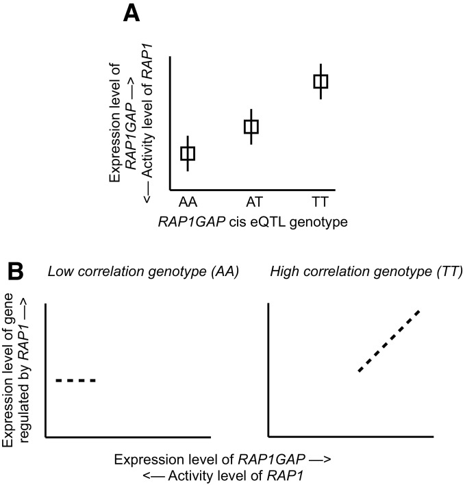 Figure 4—figure supplement 3.