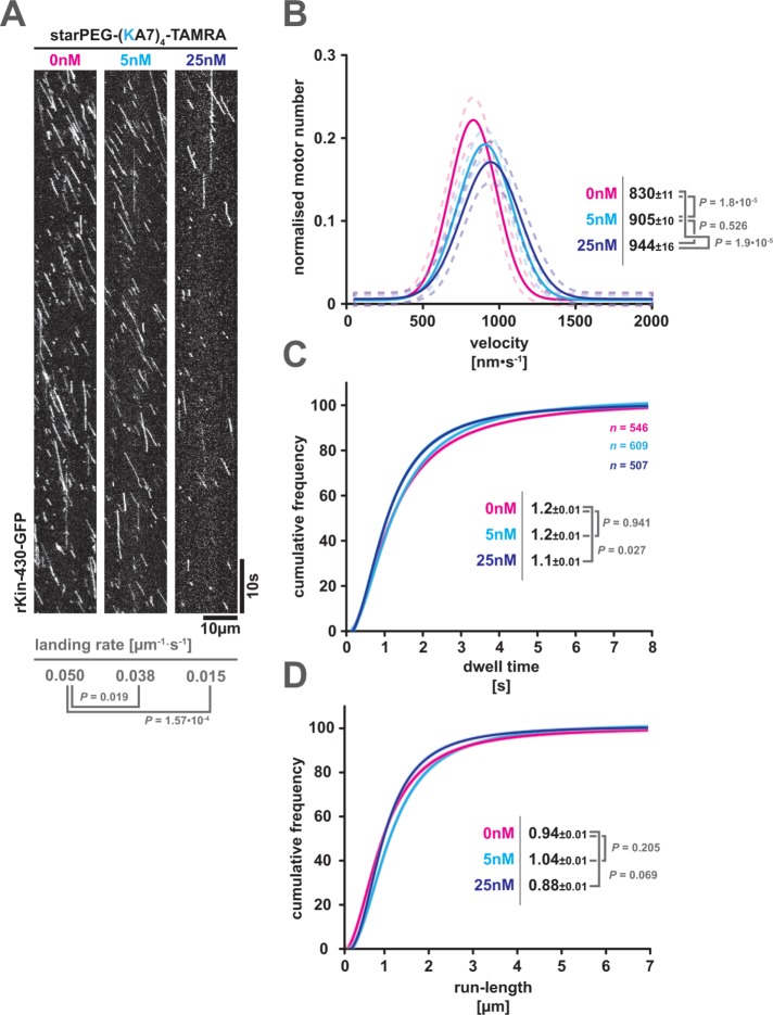 FIGURE 6: