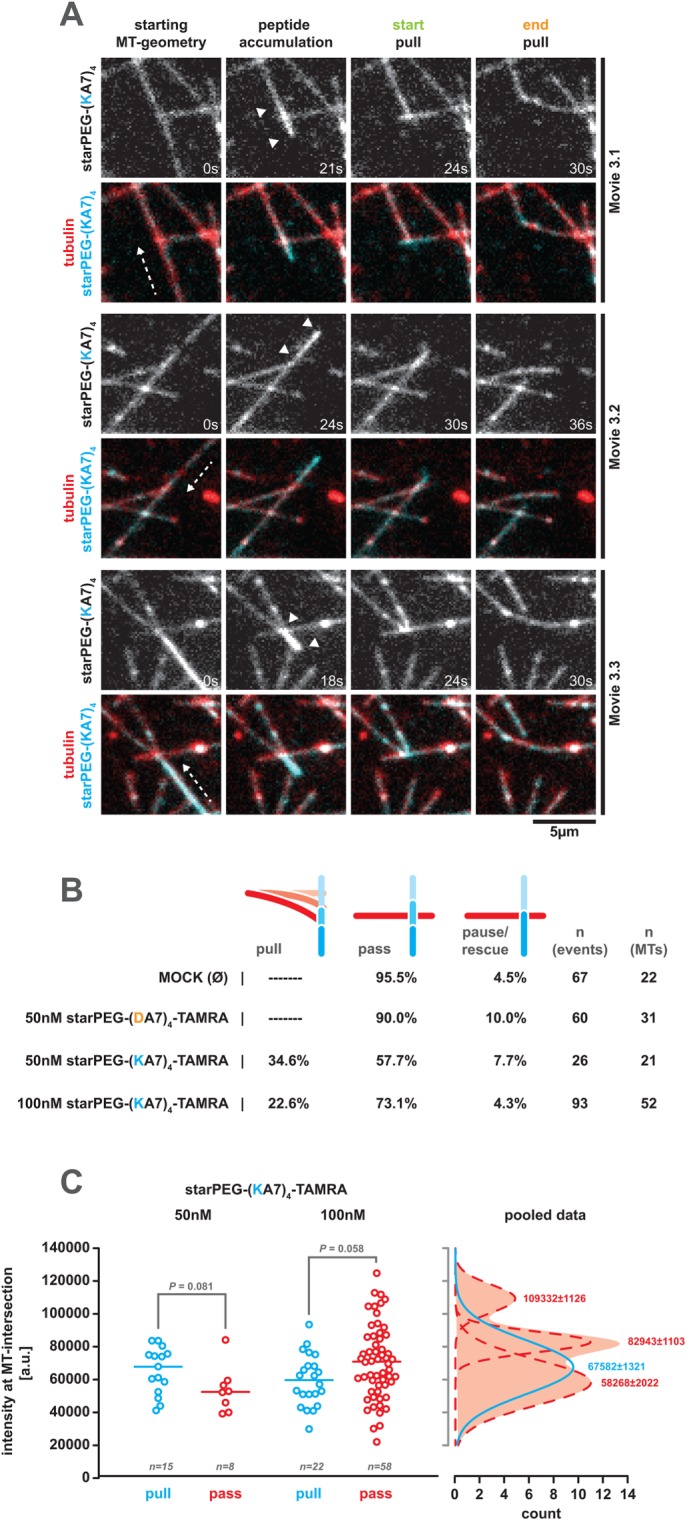 FIGURE 4: