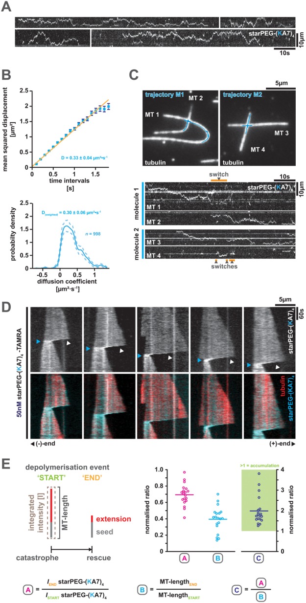 FIGURE 2: