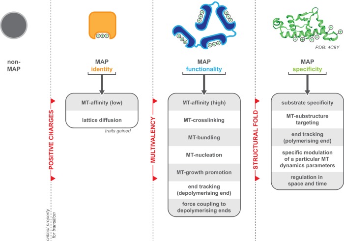 FIGURE 7: