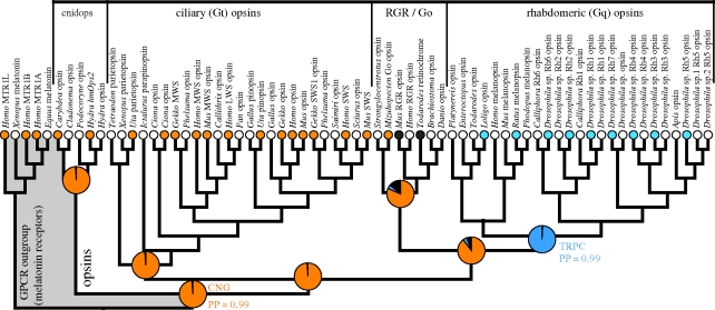 Figure 2.