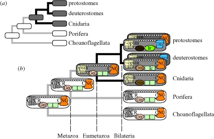 Figure 3.