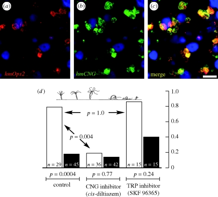 Figure 1.